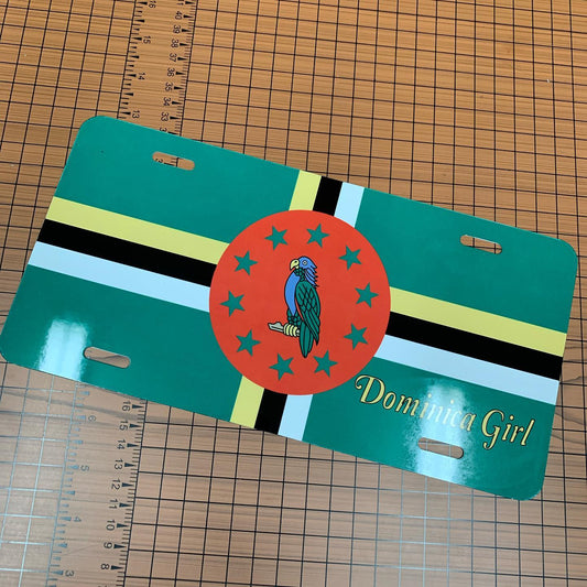 License Plate License Plate